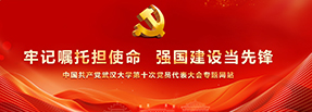 开云电子（中国）官方网站第十次党代会专题网站